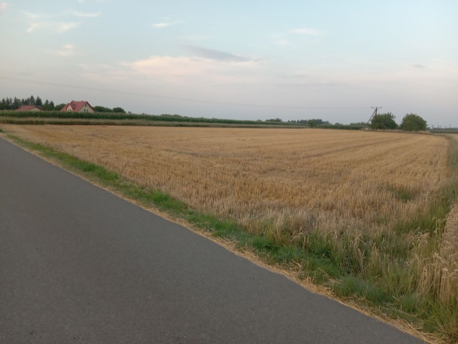 Działka z warunkami zabudowy w Rogòżnie - Gmina Łańcut