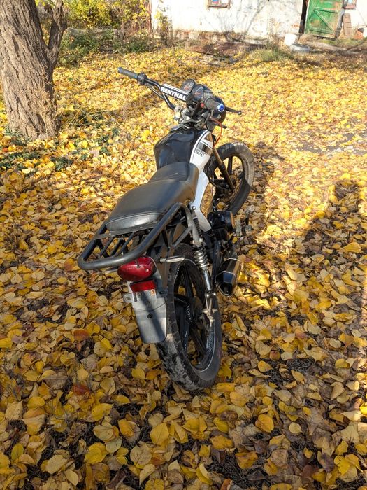 Альфа forte 125 k9a