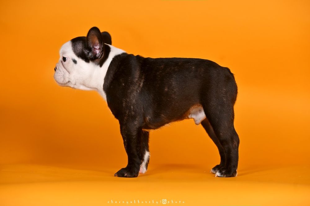 Хлопчик з дуже ексклюзивним забарвленням