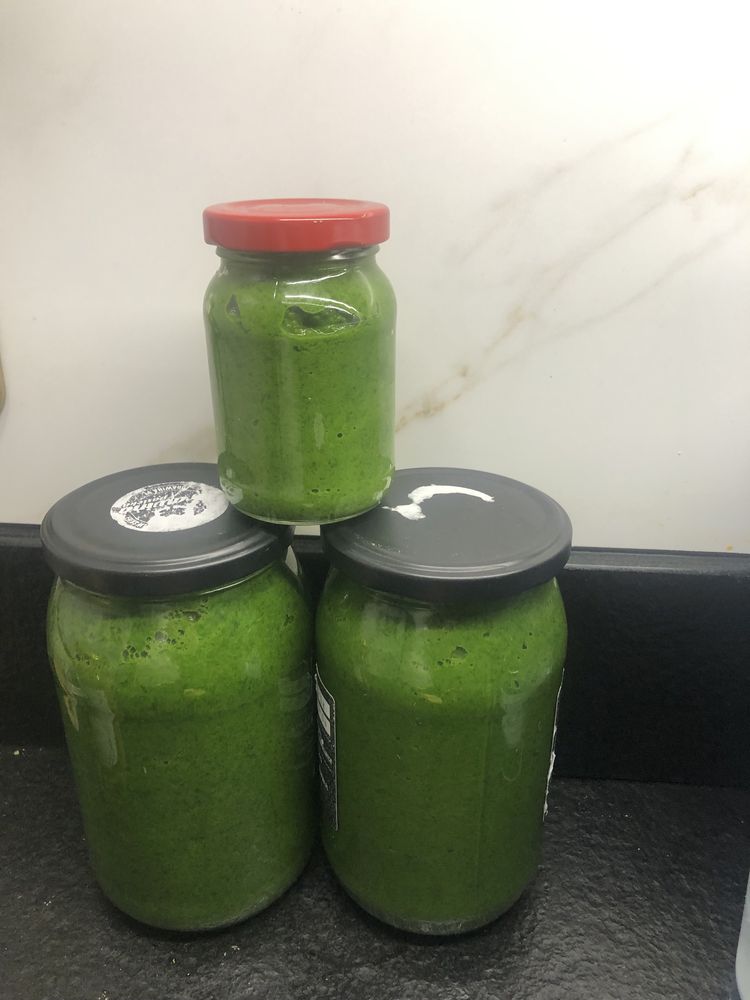 Pesto czosnek niedzwiedzi 200 g