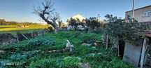 Terreno em Vila Nova da Baronia de 260,00 m2