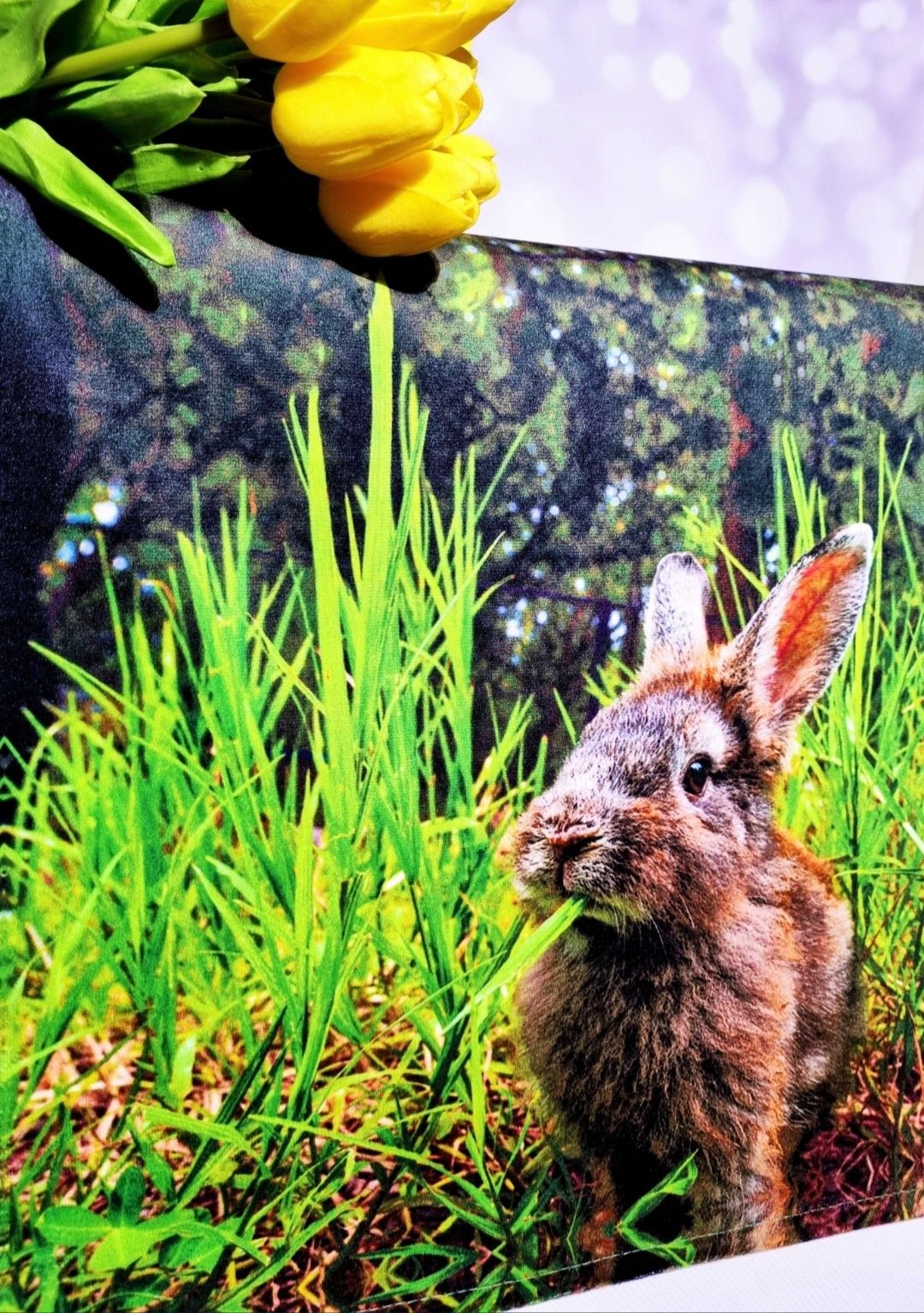Home&You nowy świąteczny bieżnik Grasshare zajączek królik Wielkanoc