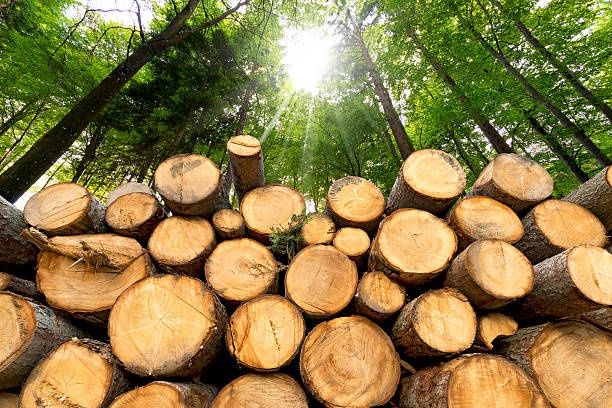 Sprzedam drewno opałowe i kominkowe