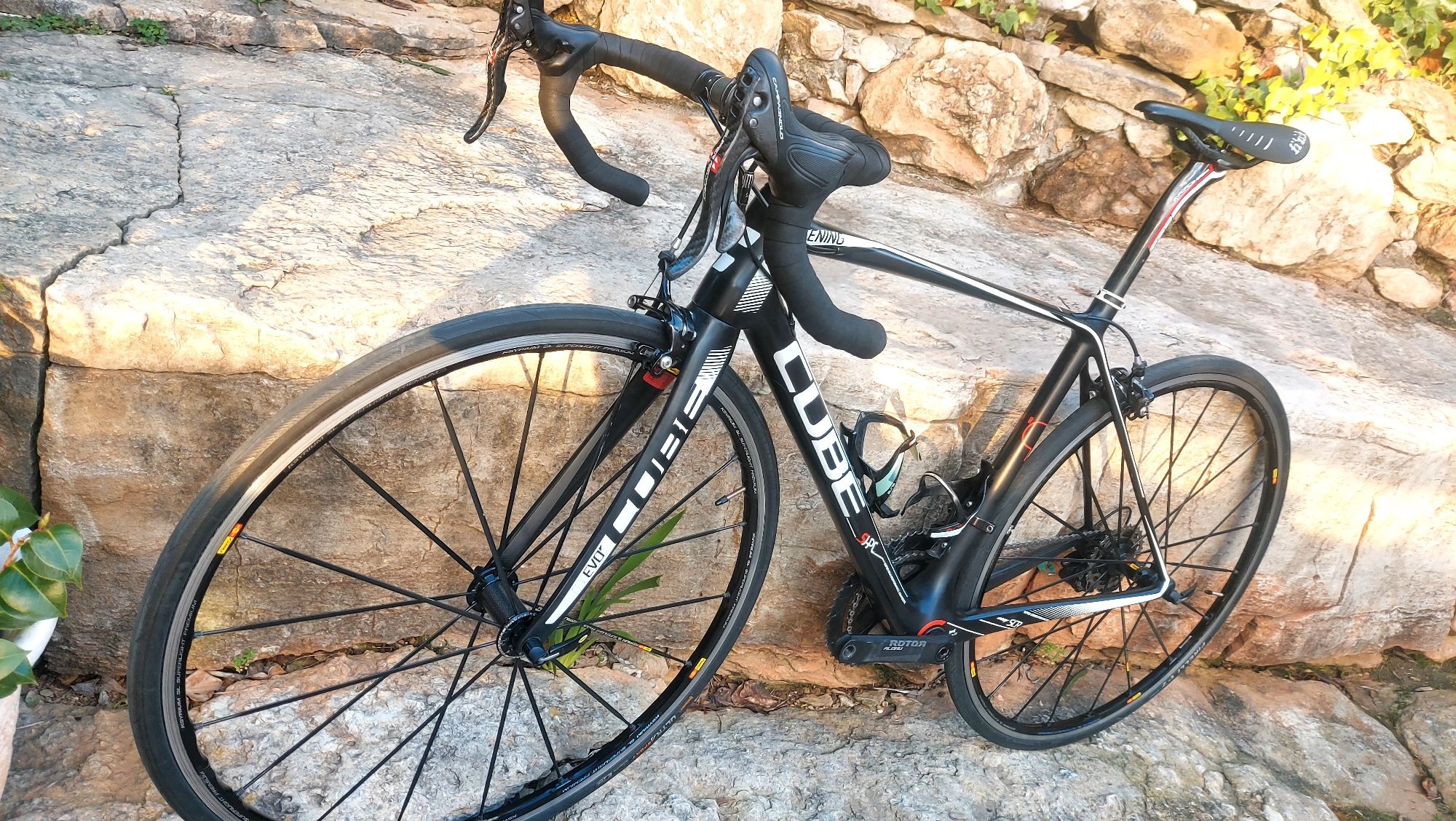Cube Litening Evo carbono topo gama t53