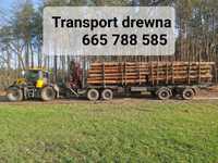 Transport Drewna z Lasu