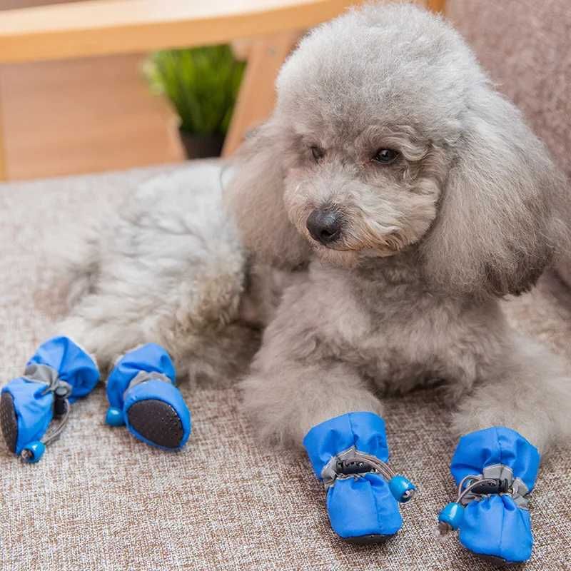 Wodoodporne i antypoślizgowe buty dla małych psów