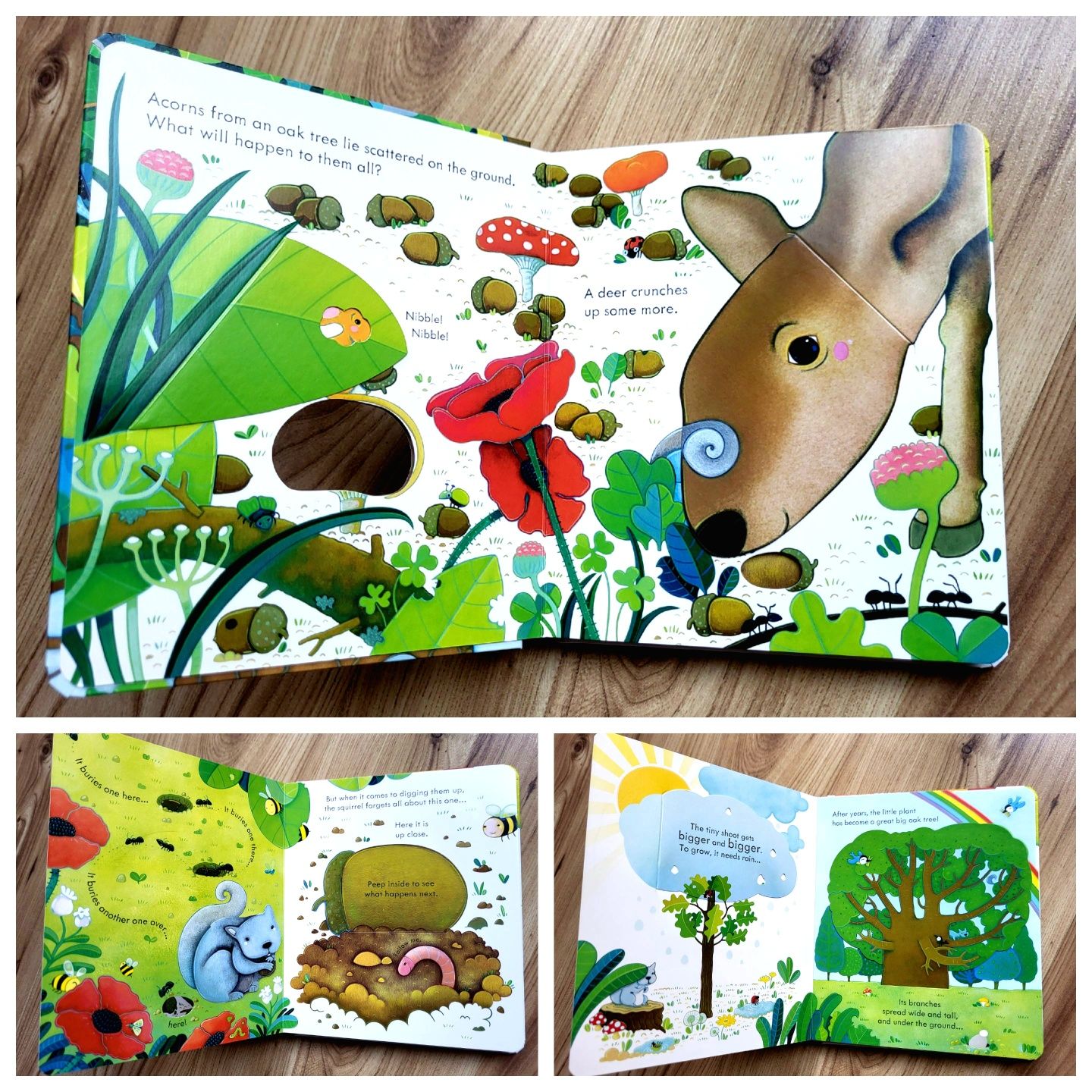 A Tree Usborne Peep Inside z okienkami po angielsku
