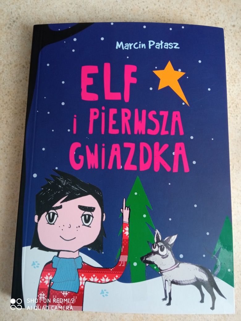 Książka dla dzieci                                            Elf i pi
