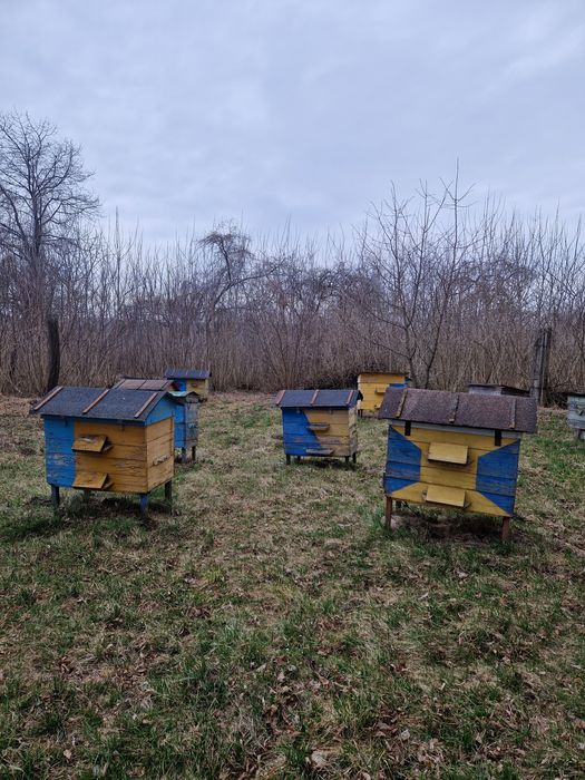Продам вулик український
