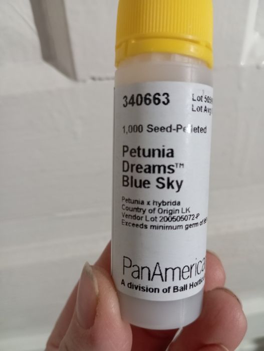 Петунія грандіфлора Дрімс F1