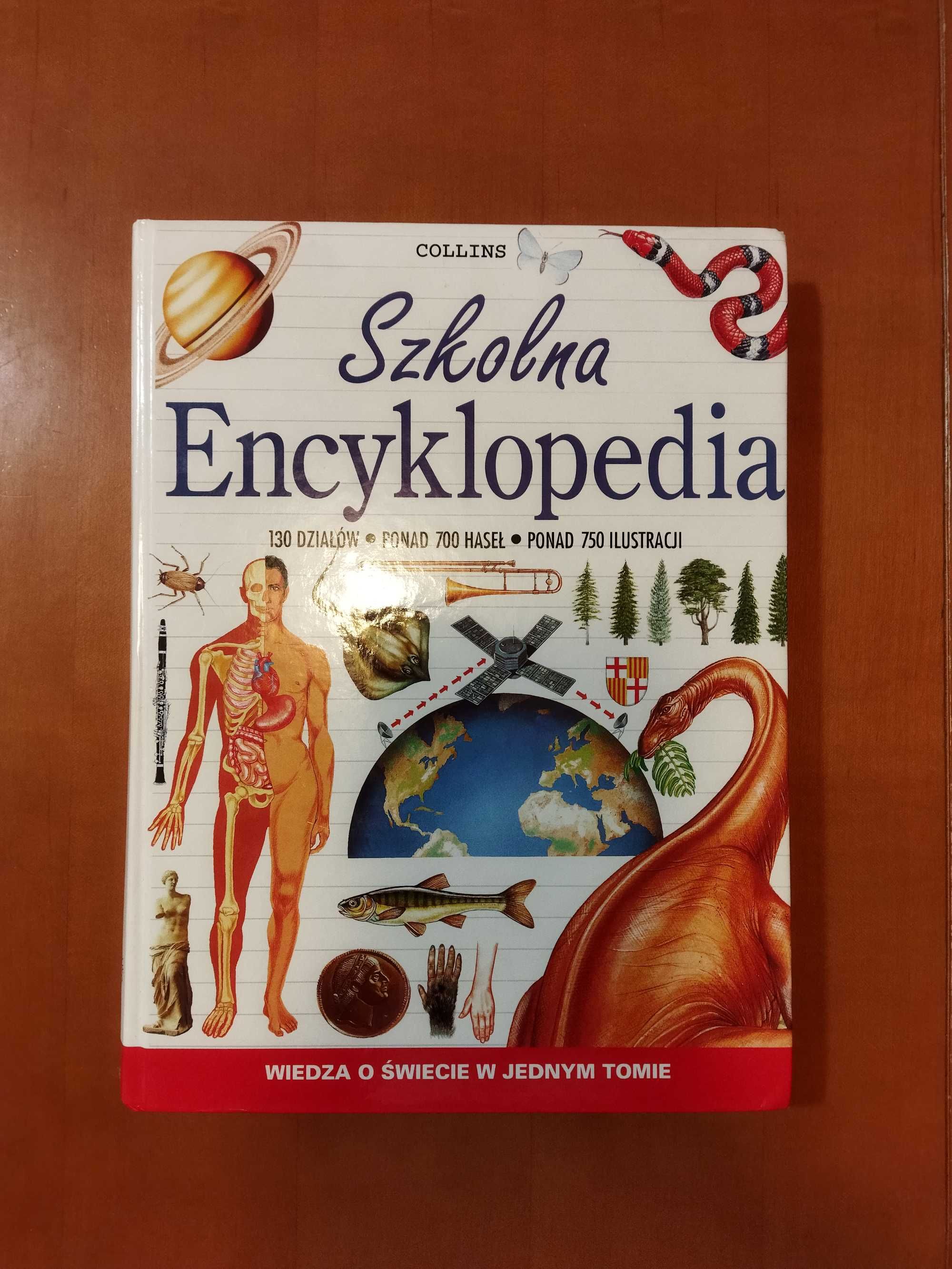 Encyklopedia szkolna