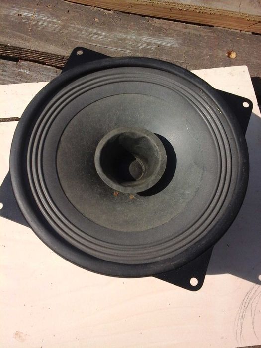 Динамік широкополосний 10 ГДШ -2 -4  ( 10ГД - 36 Е )