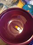 Sito Cedzak tupperware