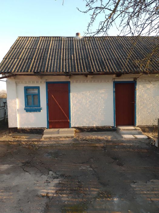 Продам будинок с. Малі Низгірці Бердичівського району