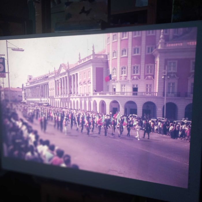 Conjunto de oito slides vintage