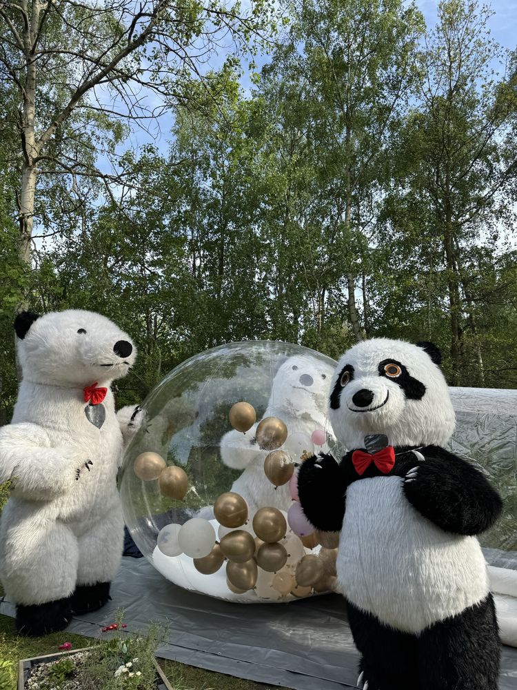 Miś Panda ,Biały Miś niespodzianka imprezowa