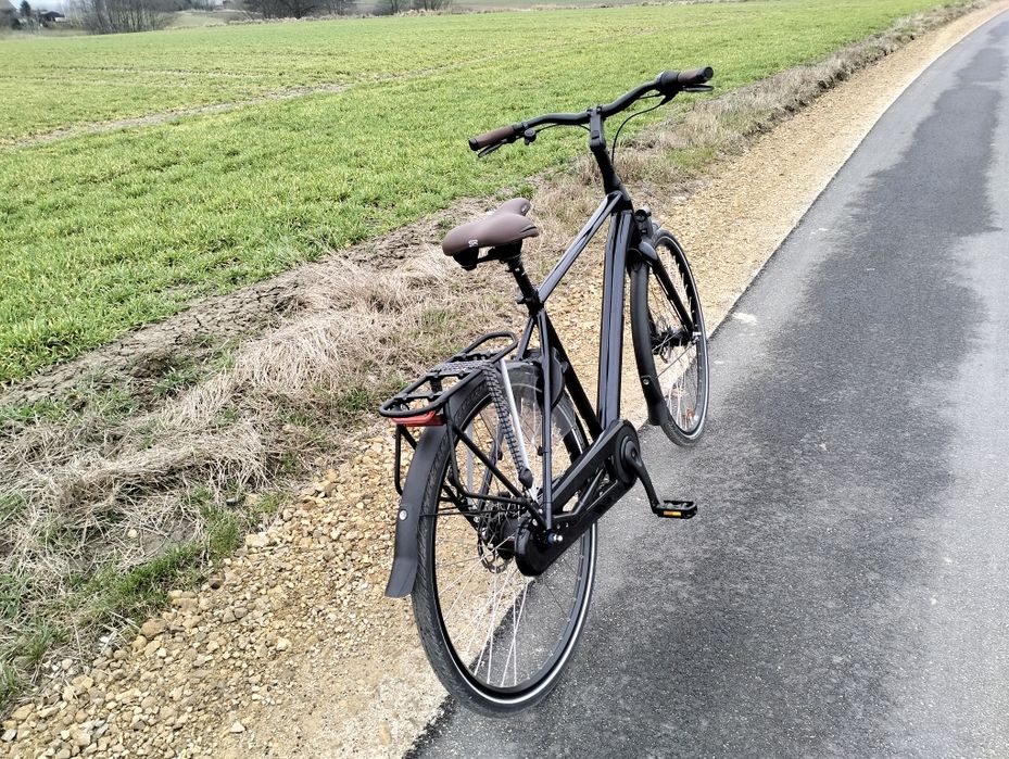 Rower Batavus Finez 53'