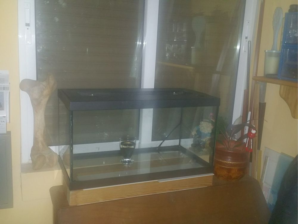 Vendo 3 aquarios e acessórios