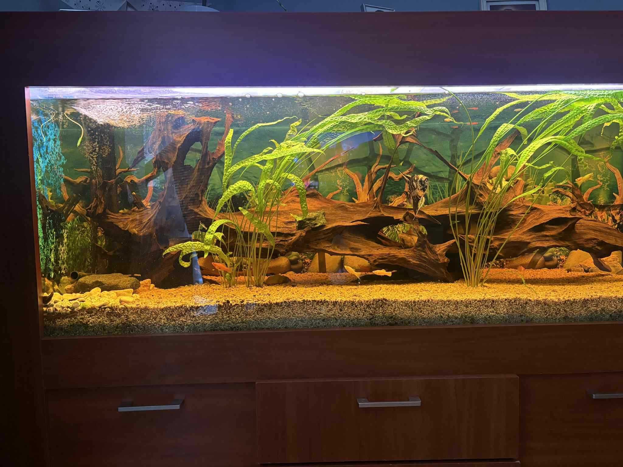 Sprzedam akwarium 600l