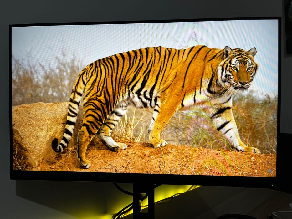 Monitor Lenovo Legion 24" LED IPS FullHD 180Hz Altura Ajustable