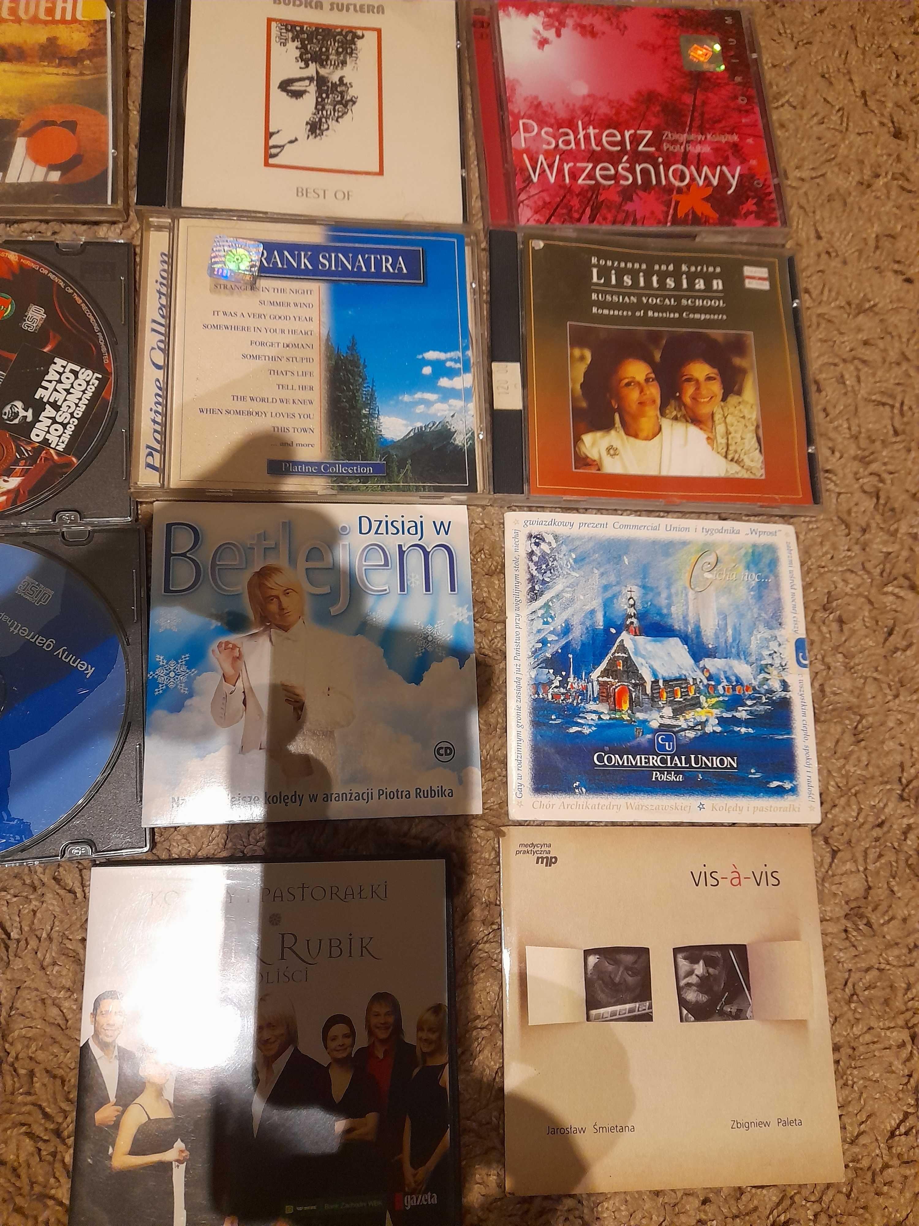 14 płyt CD jazz, blues,muzyka polska, pop