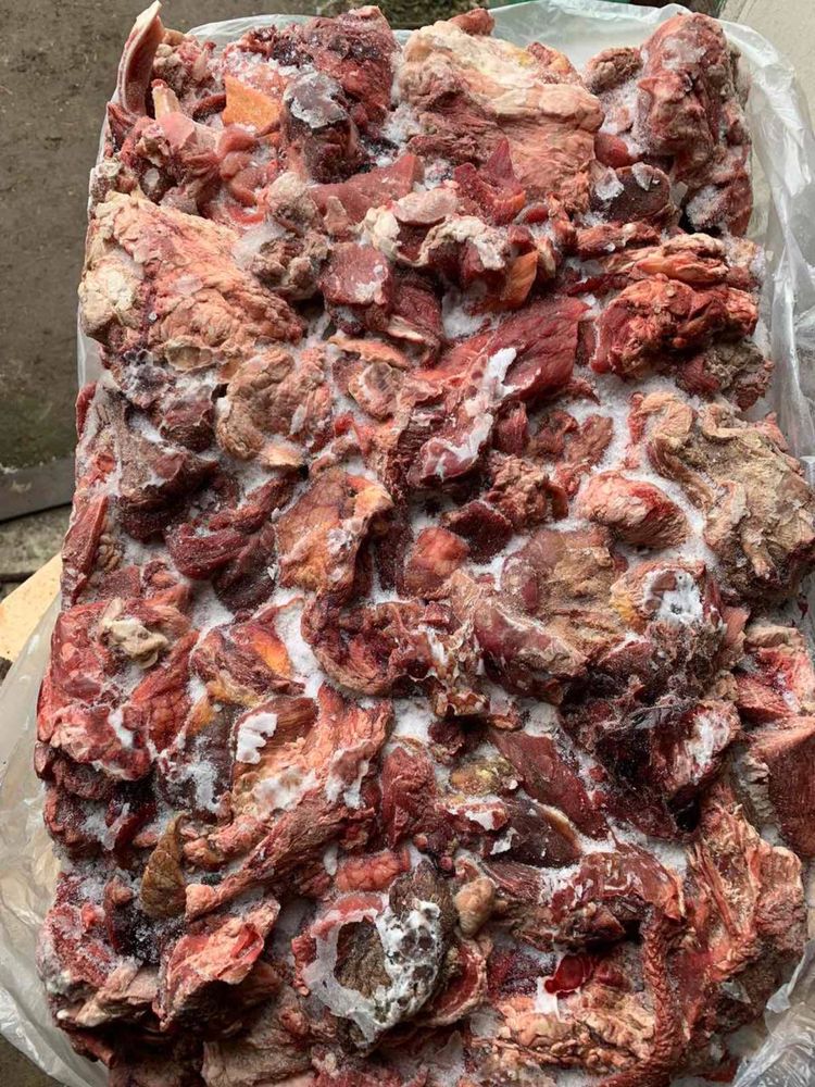 Мʼясообрізь для собак мясо корм собакам фарш субпродукти