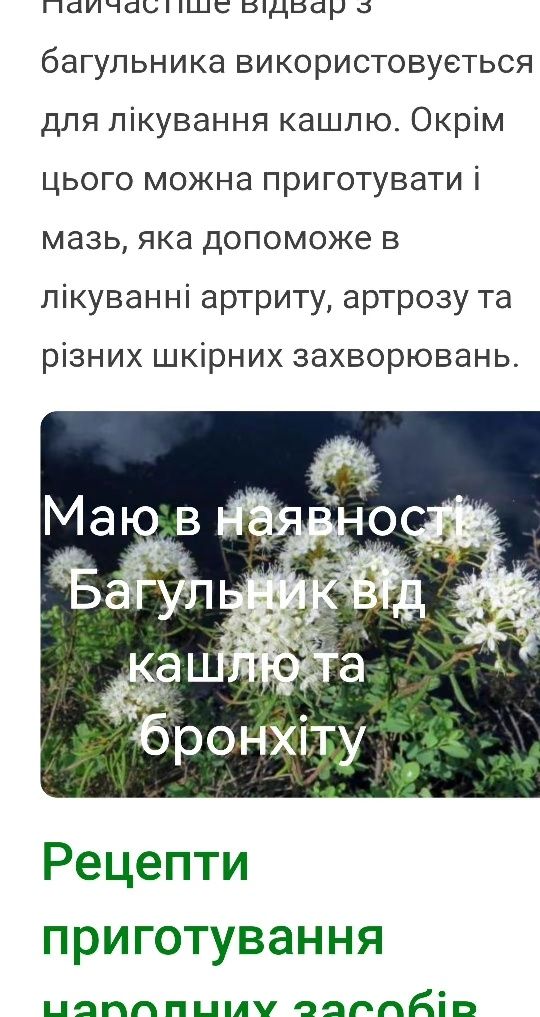 Лікарські трави від хвороб язви кашлю та бронхіту
