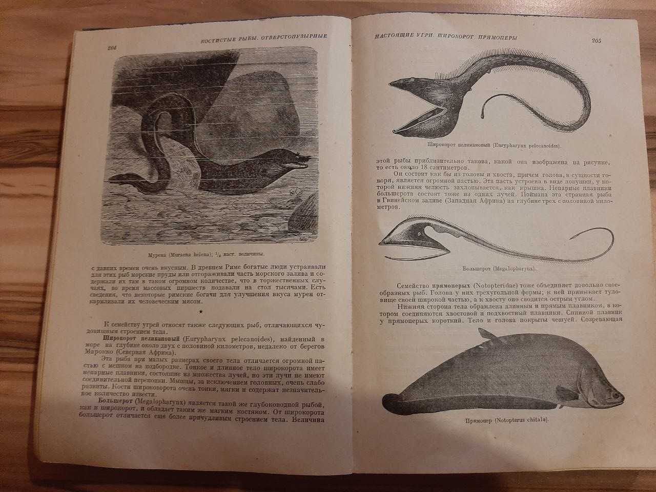 Антикварная Книга "Жизнь животных по А.Э. Брэму", Том I, 1931г.