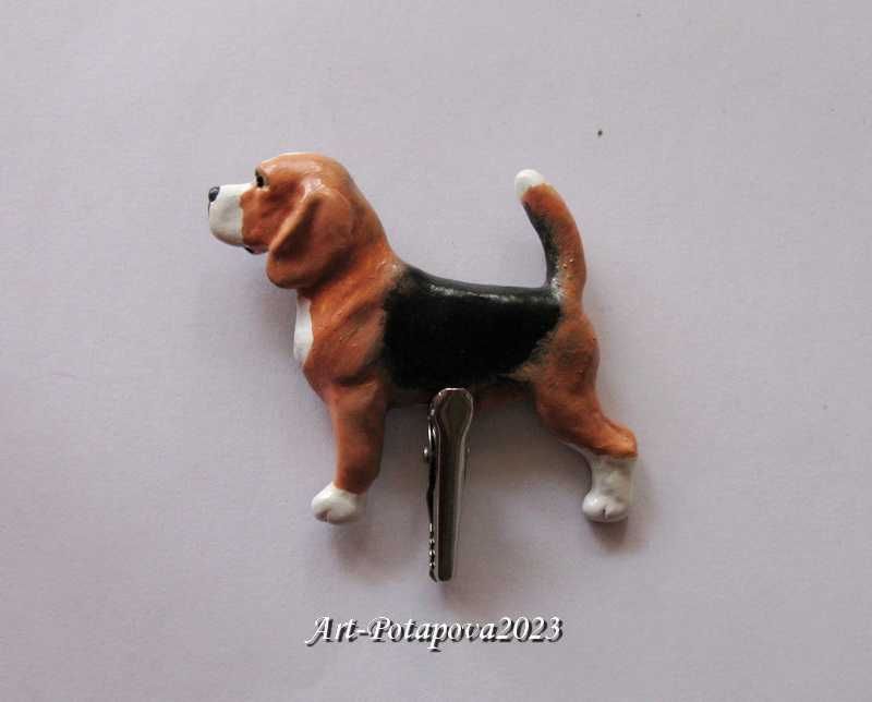 Чіхуа, Аффен пінчер, Бігль, Лабрадор, Голден, Ауссі