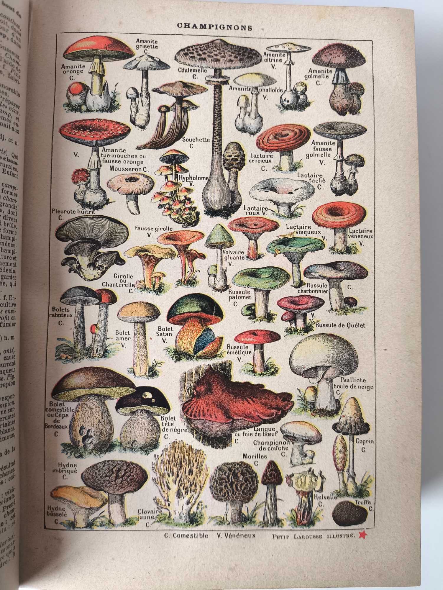 Nouveau Petit Larousse Illustre
