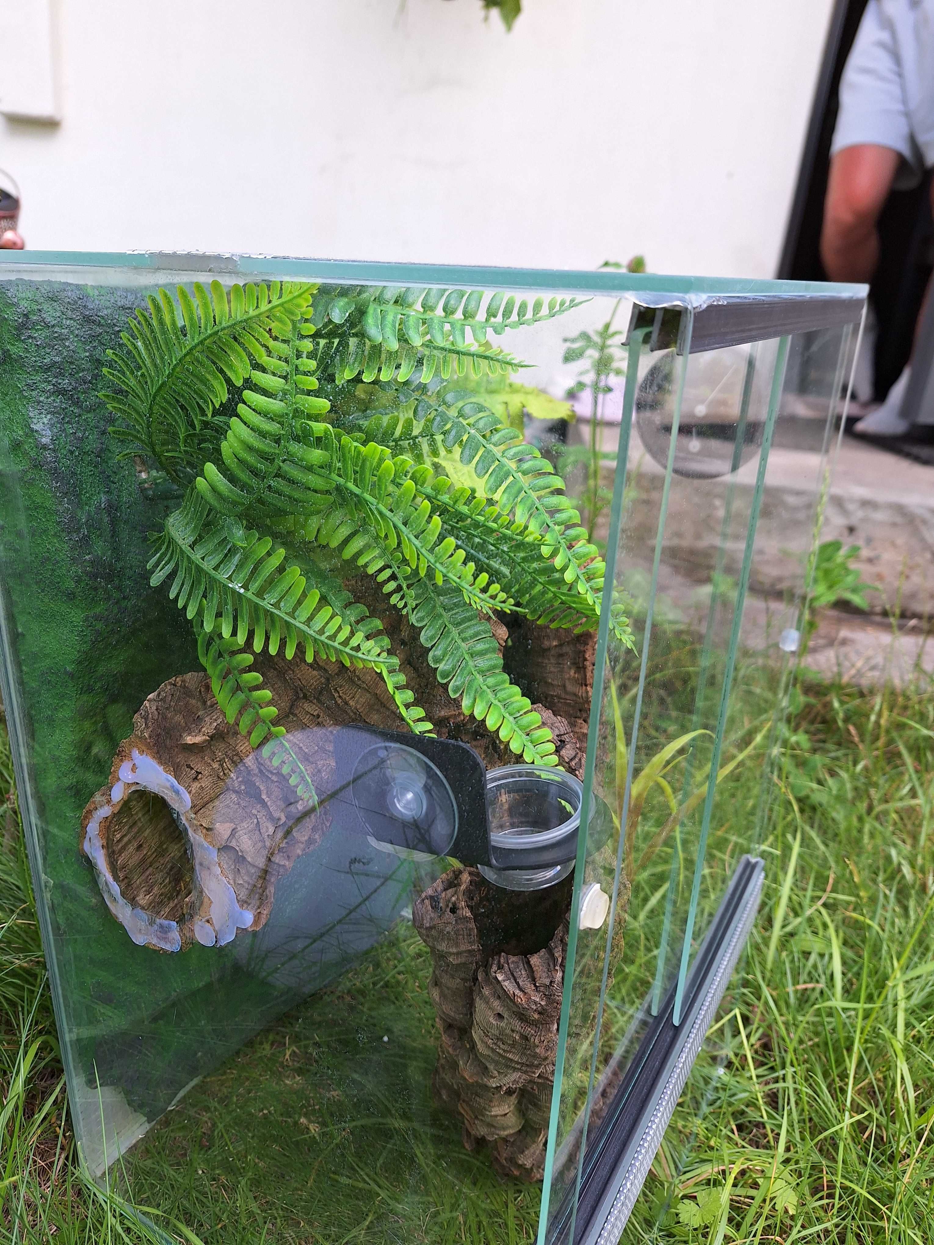 Terrarium szklane ze ścianką