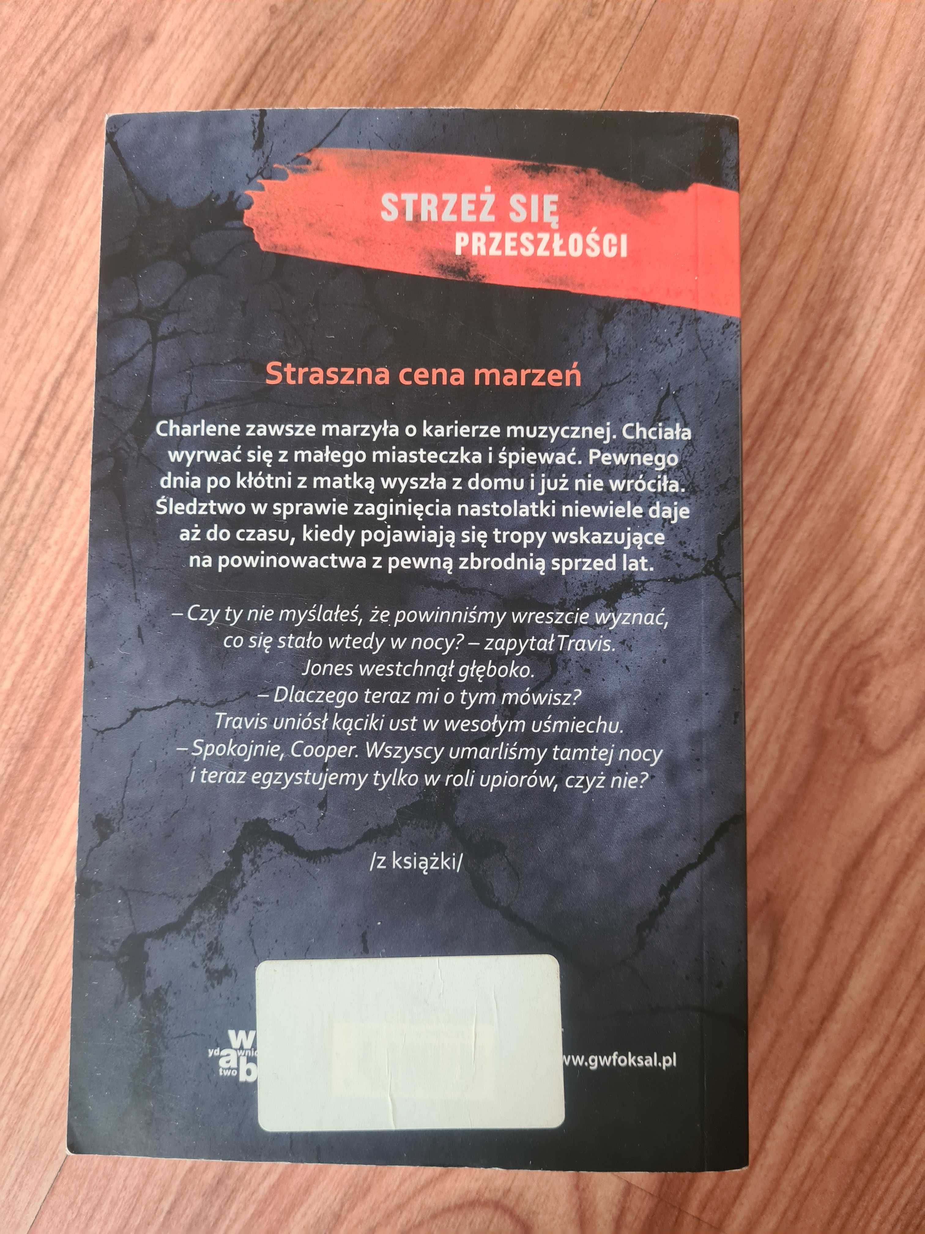 Kruche więzi - Lisa Unger