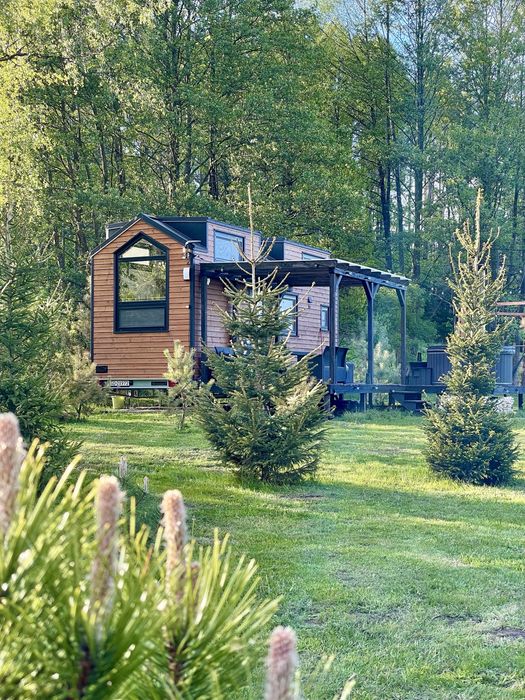 Tiny silent house domek wynajem wynajme las natura cisza jacuzzi bania