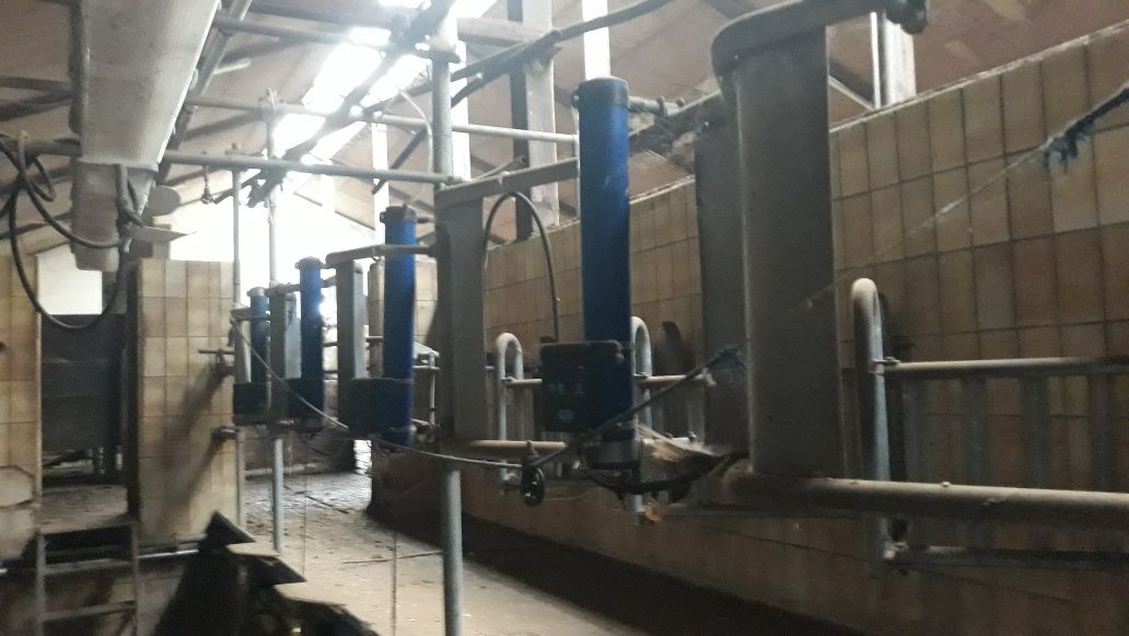 hala udojowa alfa laval de laval rybia ość 2x5 Acr 5000 kpl.