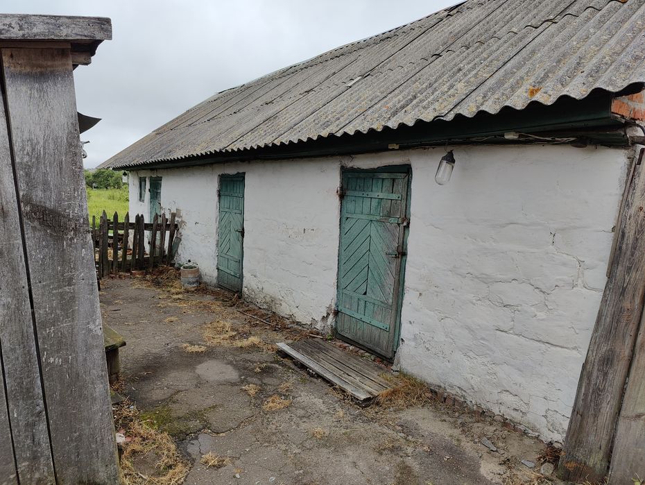 Дім в с. Бабичівка, вул. Дружби, 12, Житомирська область