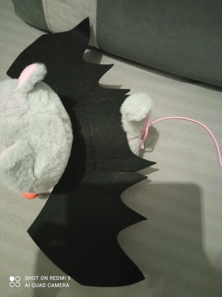 Halloweenowy kostium dla zwierzaka nietoperz