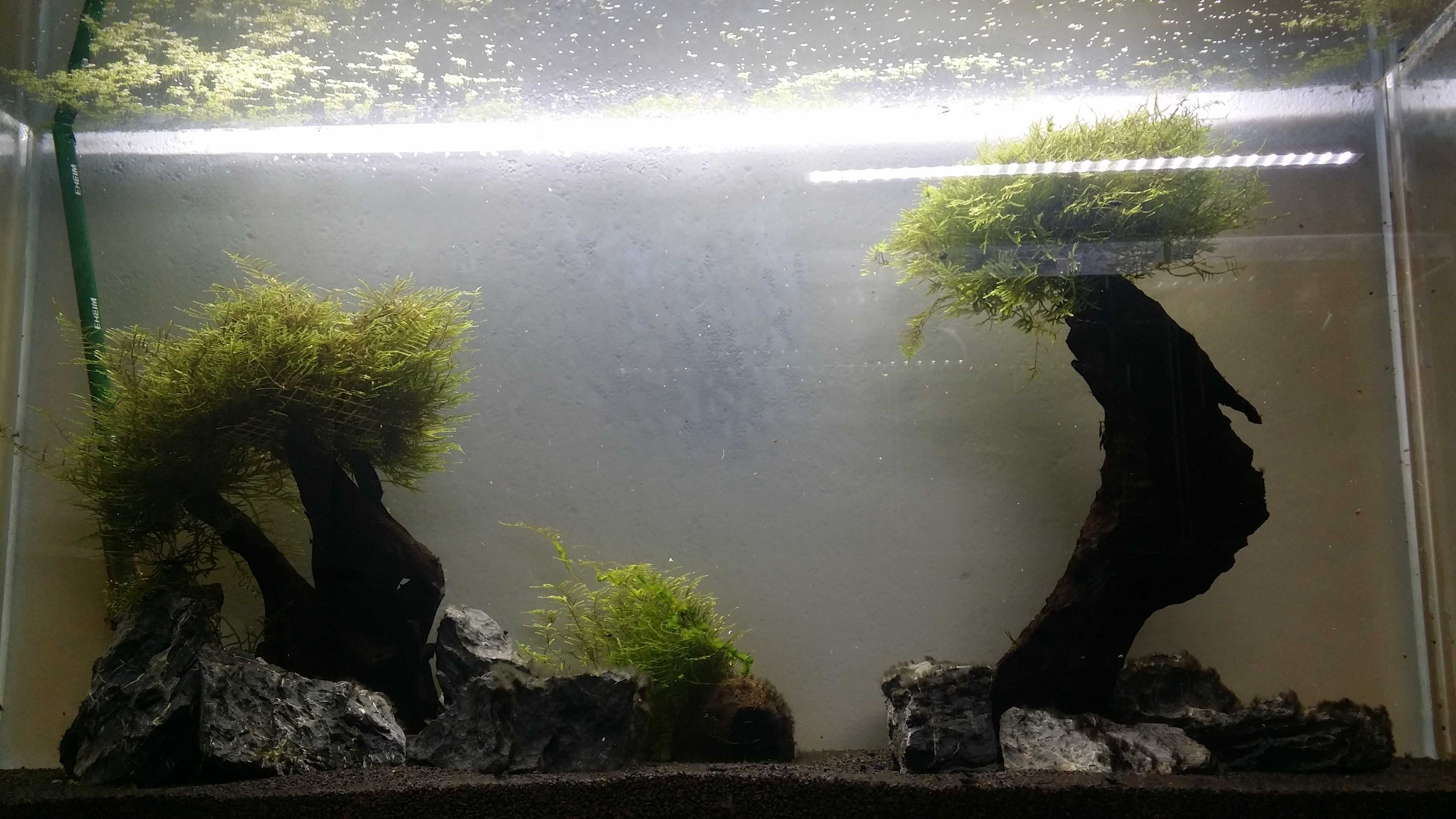 Aquario vidro extra claro 120cm