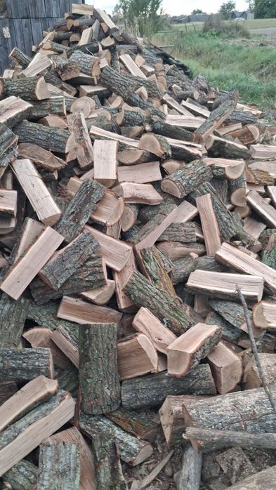 Купить дрова різних порід з доставкою