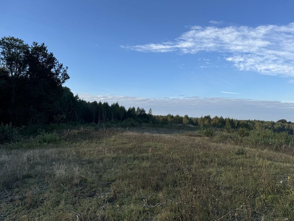 Na sprzedaż: 25,49 ha gruntów rolnych w gminie Godkowo