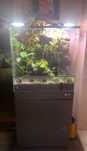 Terrarium ze szkła optiwhite firmy NaturalState 60x35x60h cm