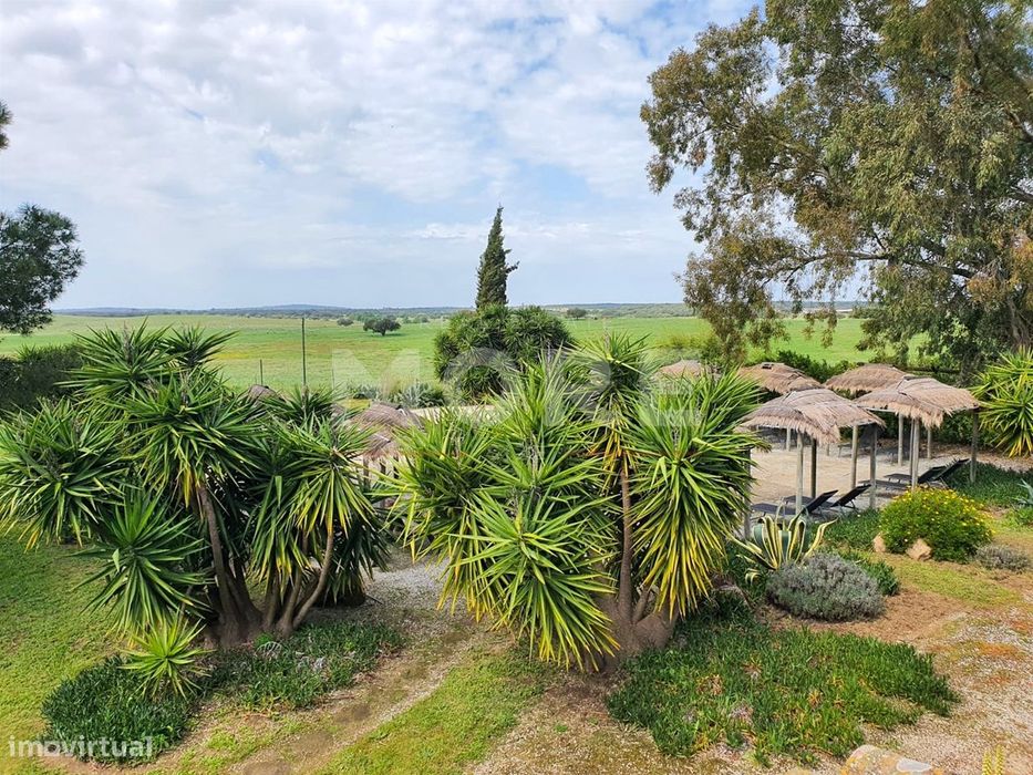 Monte alentejano - Alcáçovas