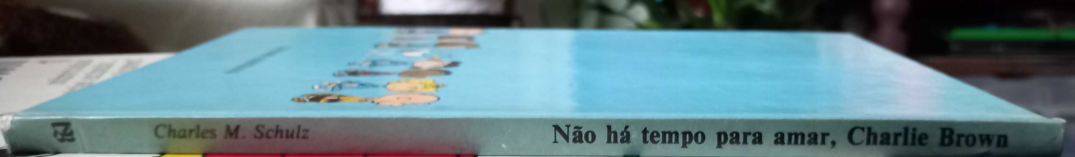Não há Tempo para Amar, Charlie Brown - Snoopy - portes incluídos
