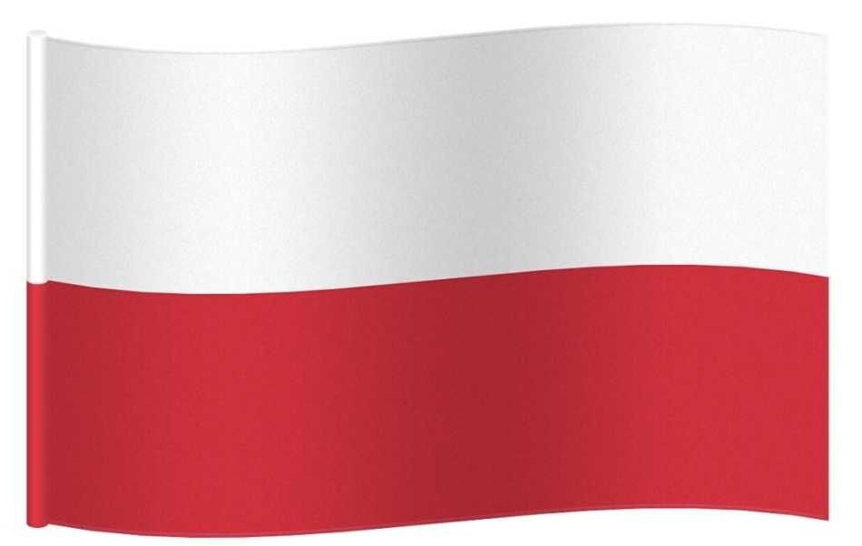 Polish Language Tutoring with the Callan Method