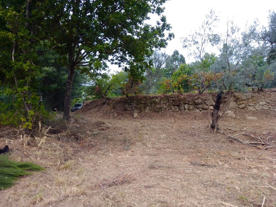 Quinta com casa para reconstrução