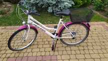Rower Laguna City VS-3