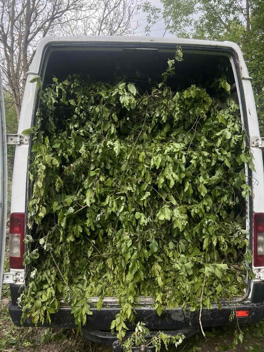 Вивіз сміття дешевше,вивіз меблів,утилізація,Львів хлам