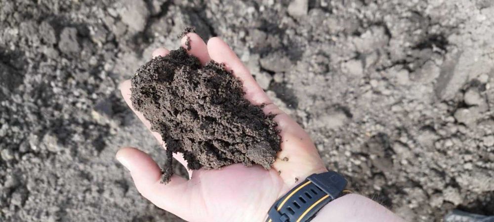 Czarnoziem, ziemia ogrodowa przesiewana, torf, pod trawniki, warzywa