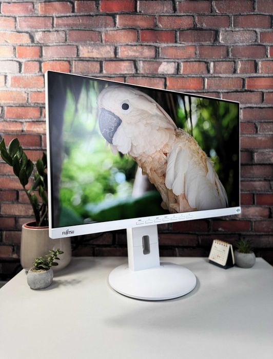 Монітор Fujitsu B24-9T·FHD·LED·IPS·Тонкі рамки·24"·з ПДВ та без·35 ШТ