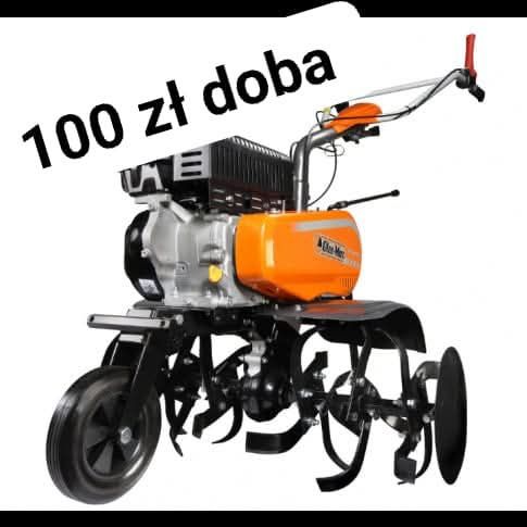 Glebogryzarka separacyjny wynajem Bielik Przodkowo