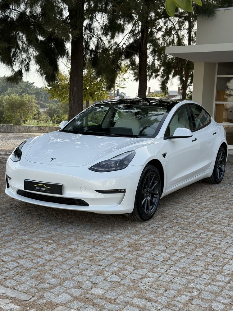 Tesla Long range Dual motor